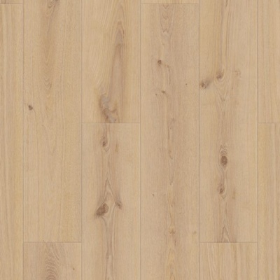 Delicate Oak Rigid Click Ultimate
