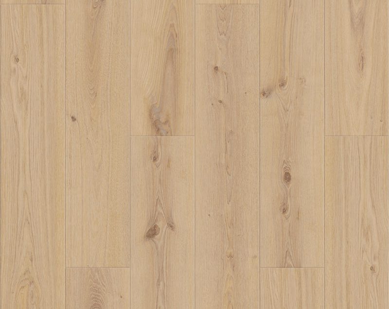 Delicate Oak Rigid Click Ultimate