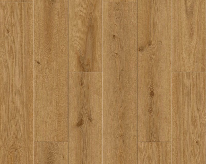 Delicate Oak Rigid Click Ultimate
